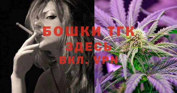 гашик Гусь-Хрустальный